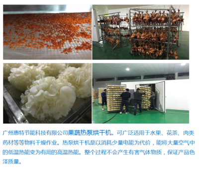 廣州惠特高科農產品類 果蔬熱泵烘干機