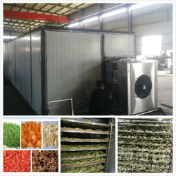 振科新型蔬菜烘干機(jī)的“長(zhǎng)壽秘訣”