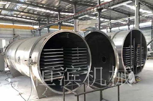 解鎖天然美味與營養(yǎng) 低溫冷凍干燥機(jī)在果蔬休閑食品領(lǐng)域的革命